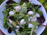 Salade blanche et verte