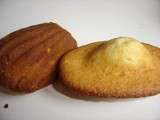 Madeleines