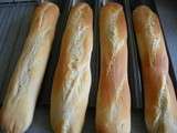 Baguettes tradition maison