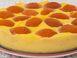 Flan pâtissier sans pâte aux abricots