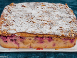 Gâteau estival aux framboises