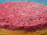 Gâteau moelleux aux framboises