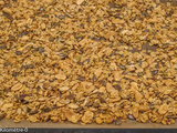 Granola salé