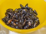 Préparation et cuisson des moules