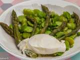 Salade de printemps aux fèves, petits pois, asperges vertes et burrata