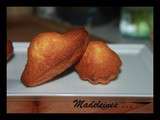 Madeleines pour la ronde Interblog