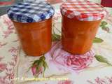 Coulis de coulis de tomates au Monsieur Cuisine