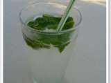 Mojito léger sans alcool ww