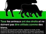 Biodiversité en danger