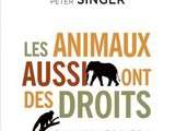 Ces animaux-objets que nous exploitons sans nous interroger