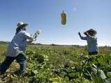 « On peut nourrir 10 milliards d’humains en bio sans défricher un hectare »