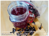 Boisson rafraîchissante à l’hibiscus et cocktail (Bissap)
