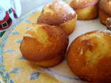 Duffins