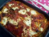 Lasagnes de CoURGETTES