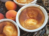 Petites flognardes aux abricots