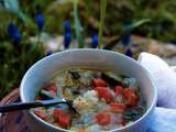 Riz gluant au bouillon de poule