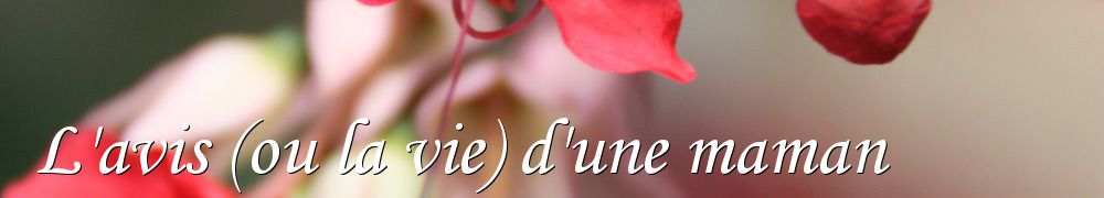 Recettes de L'avis (ou la vie) d'une maman