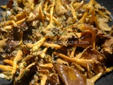 Poêlée de Chanterelles
