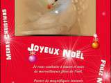 Vœux de Noël 2015