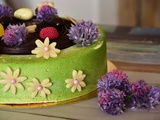 Entremet Garden Mojito