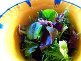 Vinaigrette verte