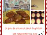 Madeleines au miel