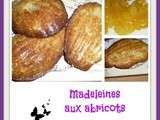 Madeleines aux abricots