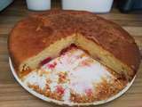 Gâteau au yaourt ,framboises et abricots..ay thermomix