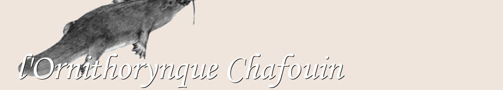 Recettes de l'Ornithorynque Chafouin