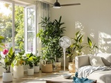 Astuces pour booster l’efficacité de mon ventilateur en été