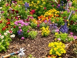 Astuces pour redonner vie à un jardin fatigué après l’été