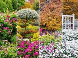 Calendrier de taille pour garder un jardin impeccable toute l’année