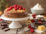 Ce gâteau au chocolat sans cuisson à 5 ingrédients a changé mes étés (recette ici)