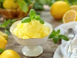 Sorbet citron-basilic à la sorbetière : comment réussir la texture parfaite