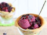 Glace au yaourt avec fruits de bois