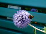 Bleu, comme un lundi