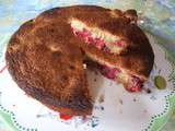 Gâteau aux framboises