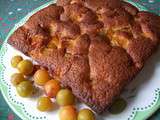 Gâteau aux mirabelles et aux amandes