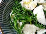 Salade tiède d’agretti (salsola soda) à la mozzarella di bufala