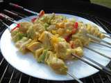 Brochettes de poulet au curry