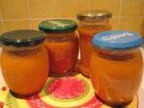 Petits bocaux de coulis de tomates