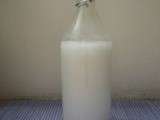 Lait de coco