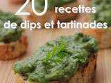 20 recettes de dips et tartinades