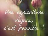 Agriculture végane, c'est possible ! Un chouette projet de ferme expérimentale à soutenir {l'escargot tranquille}