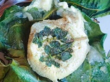 Chèvre chaud en feuille de figuier