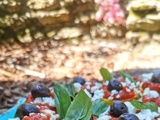 Courgettes à l'ajvar