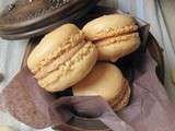 Macarons de base