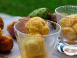 Glace aux figues de barbarie, ou glace aux soubbers