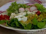 Salade composee aux pousses de radis et radis roses