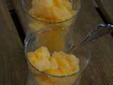 Sorbet au melon au thermomix